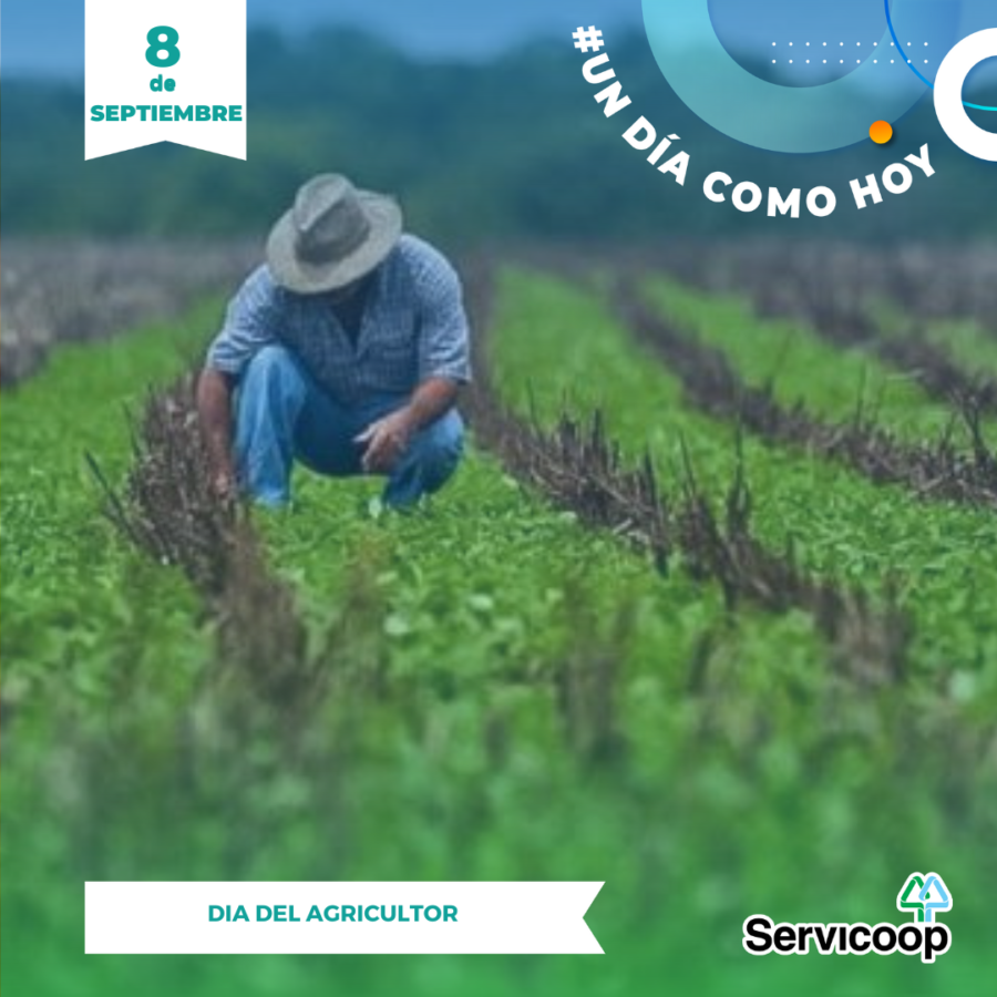 Un Día Como Hoy…día Del Agricultor Y Del Productor Agropecuario